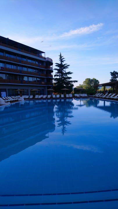 Pool Cook's Club Sunny Beach