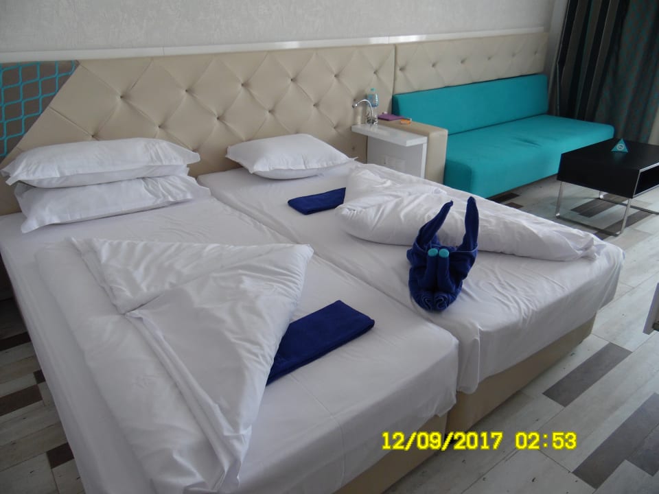 Zimmer Sentido Marea