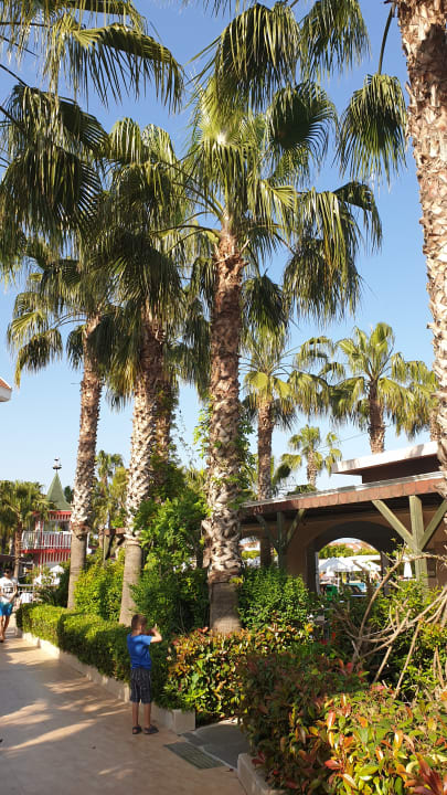 Gartenanlage Hane Family Resort