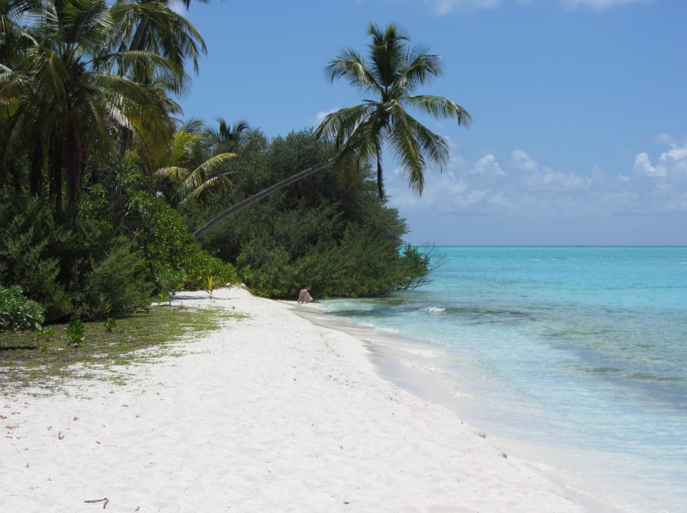 Strandabschnitt kurz vor der Sandbank Kuramathi Maldives