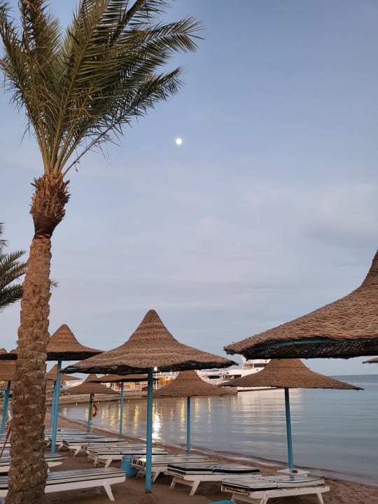 Ausblick Marlin Inn Azur Resort