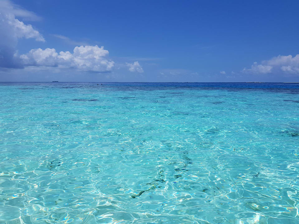 Strand OZEN RESERVE BOLIFUSHI
