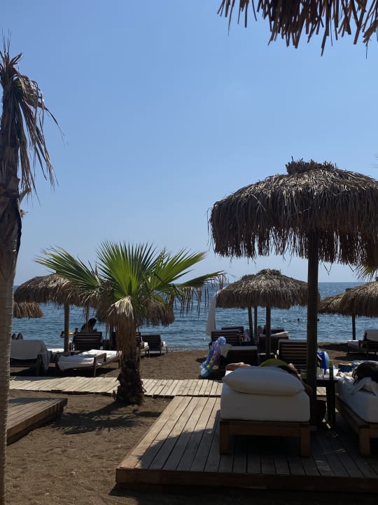 Strand Rubi Platinum Sign