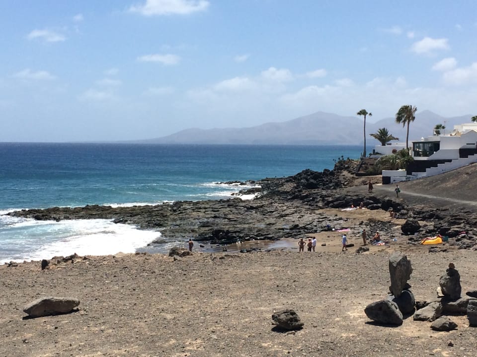 Strand Relaxia Olivina