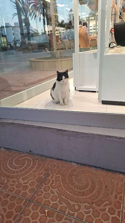 Sonstiges Bull Escorial & Spa