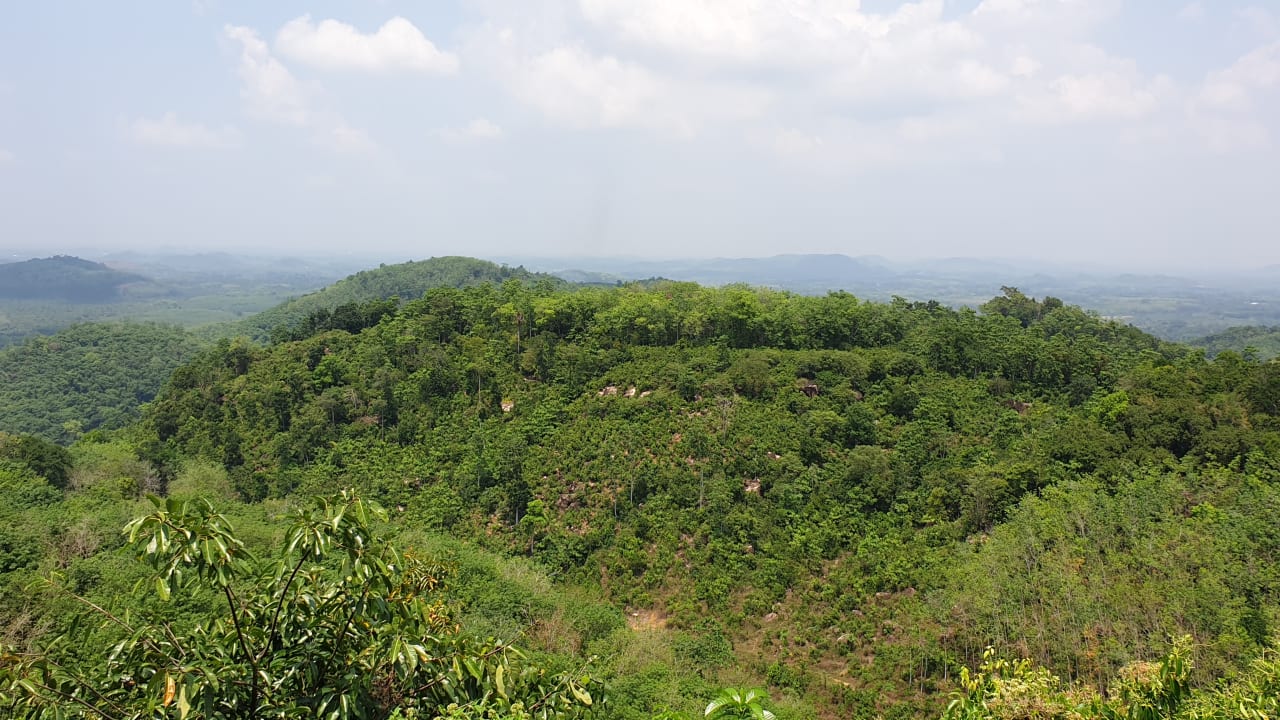 Ausblick Glenross Plantation Bungalow