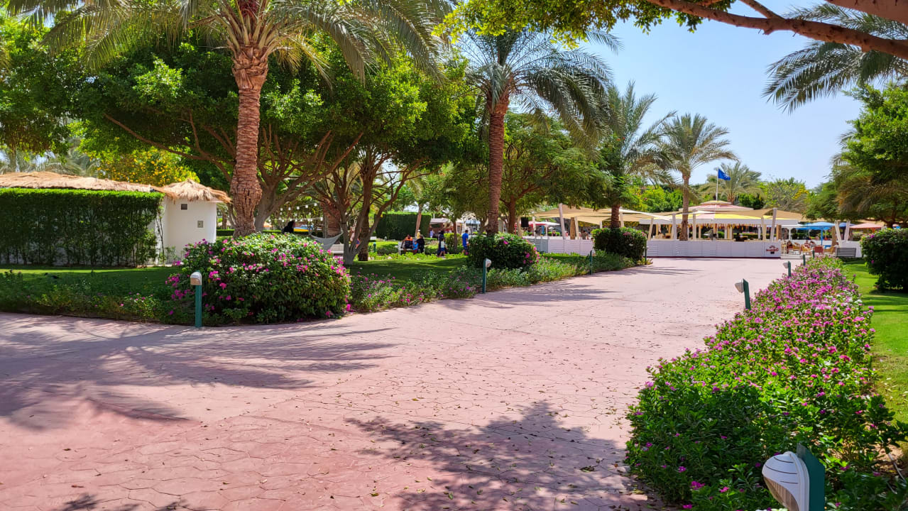 Gartenanlage Desert Rose