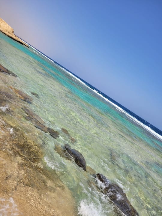 Strand Steigenberger Coraya Beach - Adults only