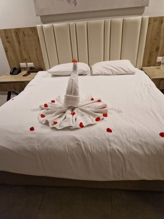 Zimmer Pickalbatros Water Valley Resort - Neverland Hurghada