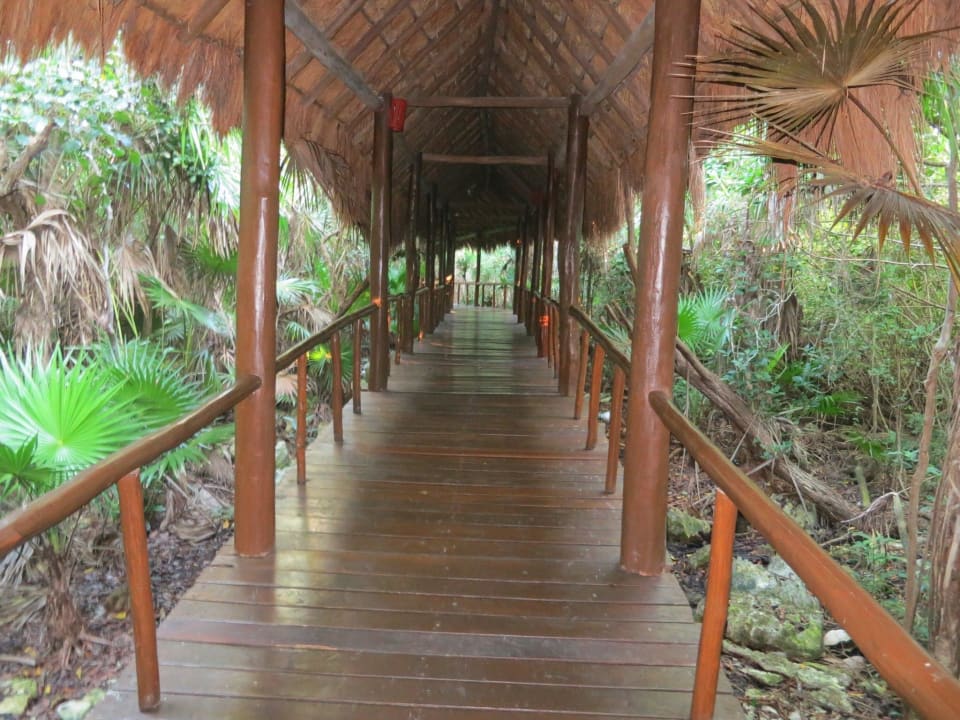 Durch den Dschungel Grand Palladium Select White Sand Resort & Spa