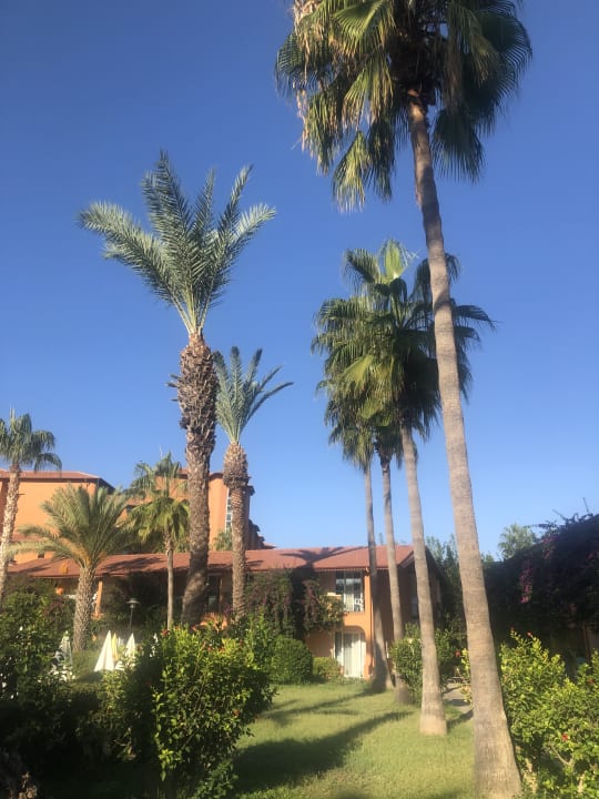 Gartenanlage Club Turtas Beach Hotel