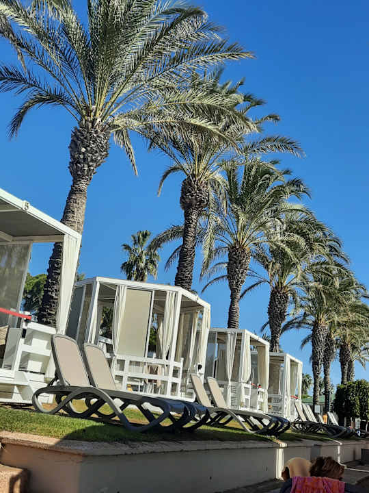 Strand Papillon Ayscha