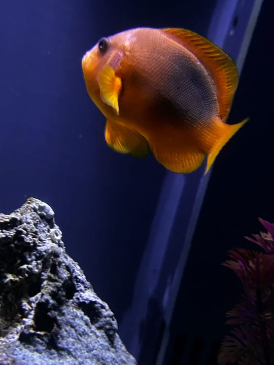 Sport & Freizeit Kustur Club Holiday Village