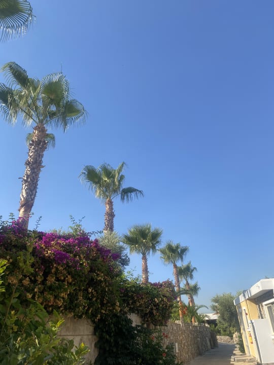 Außenansicht Hotel Kouros Palace