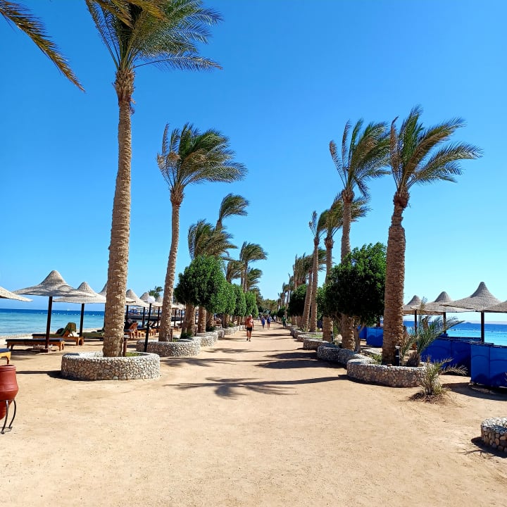 Gartenanlage Arabia Azur Resort