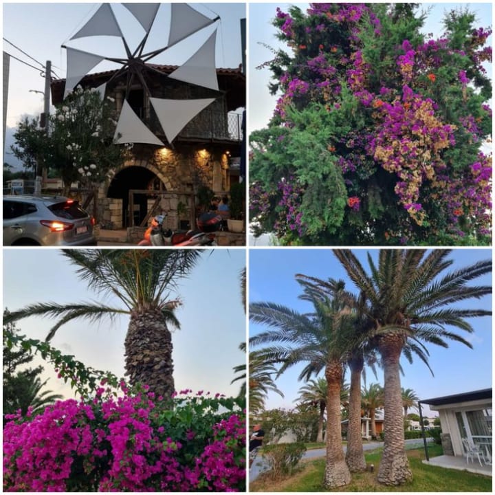 Gartenanlage Civitel Creta Beach