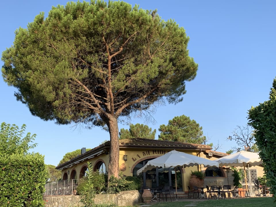 Gartenanlage Fattoria Degli Usignoli - Hotel & Residence