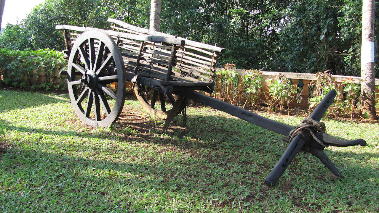 Hotel Devaaya Ayurveda & Nature Cure Centre Mercure Goa Devaaya Retreat