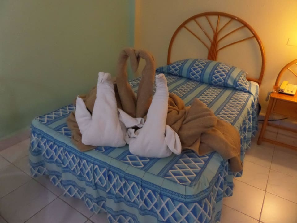 Swans Hotel Los Helechos