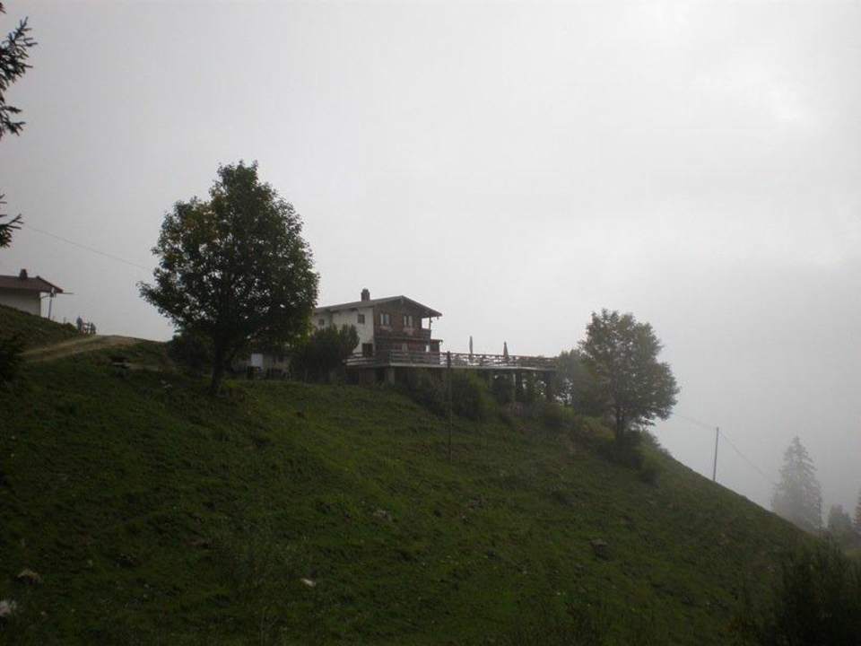 Wuhrsteinalm Wuhrsteinalm