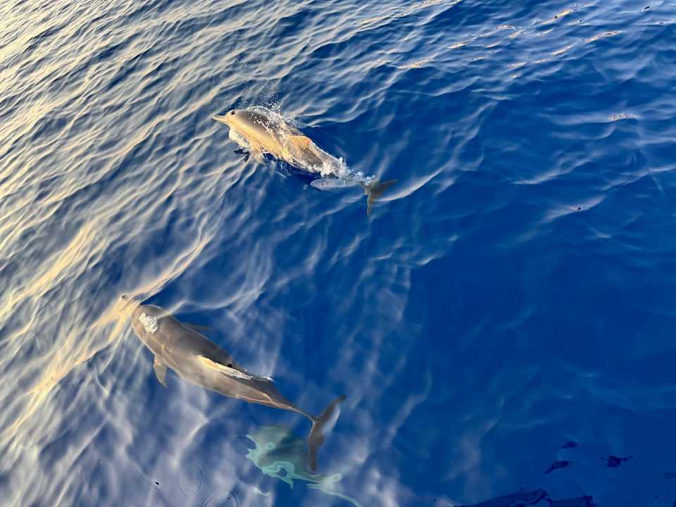 Ausblick Kuredu Island Resort & Spa