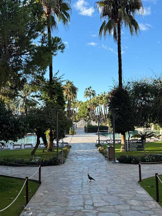 Gartenanlage Arum Barut Collection