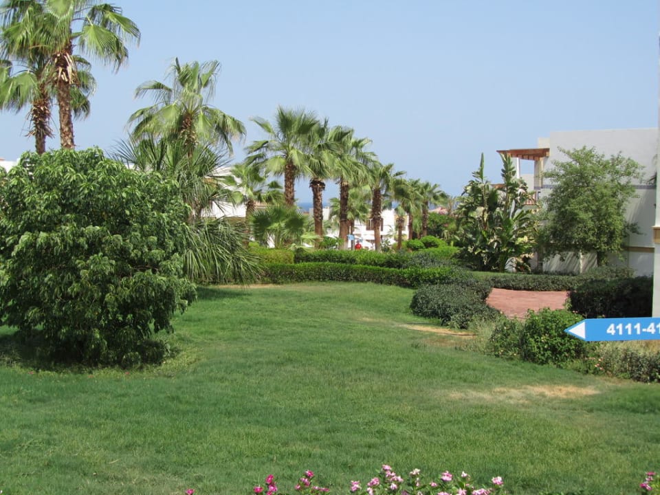 Hotel Shores Aloha Amphoras Blu