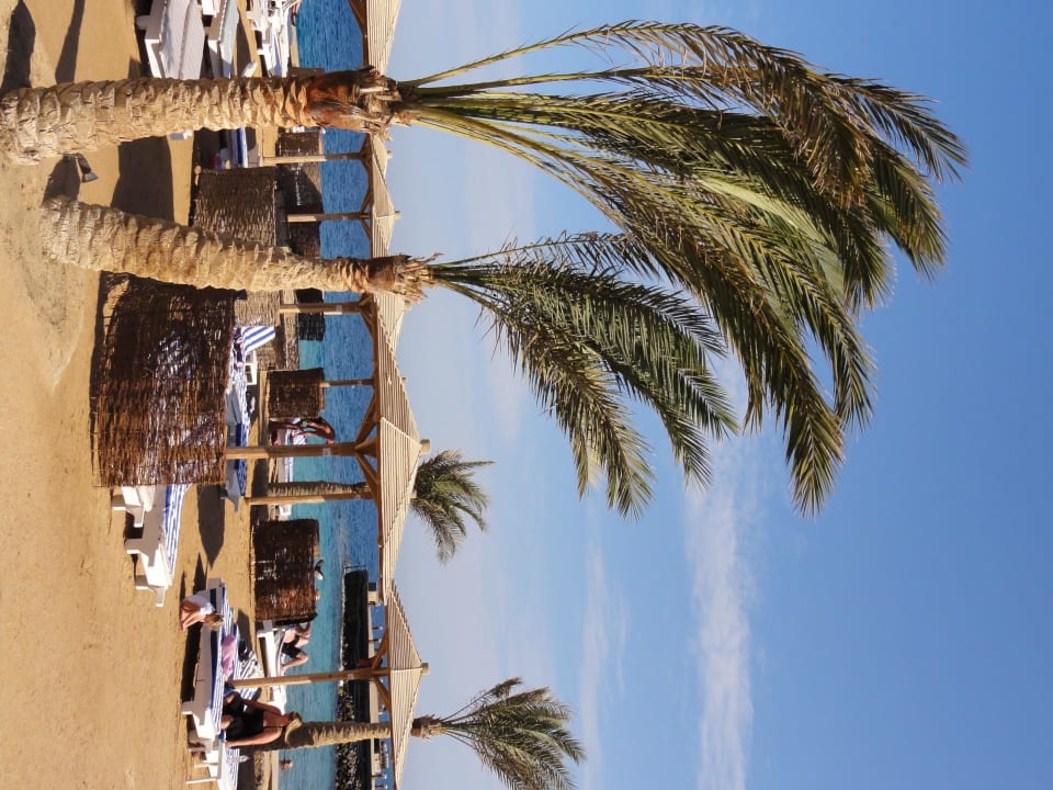 Hotelstrand Palm Beach Resort