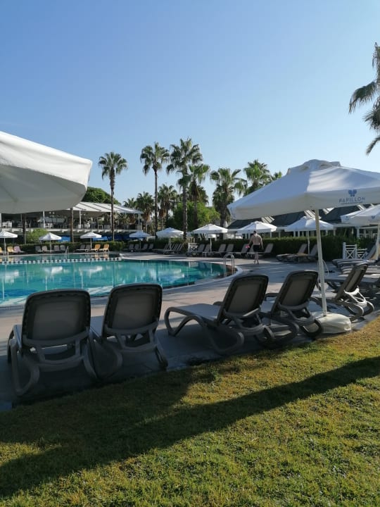 Pool Papillon Belvil