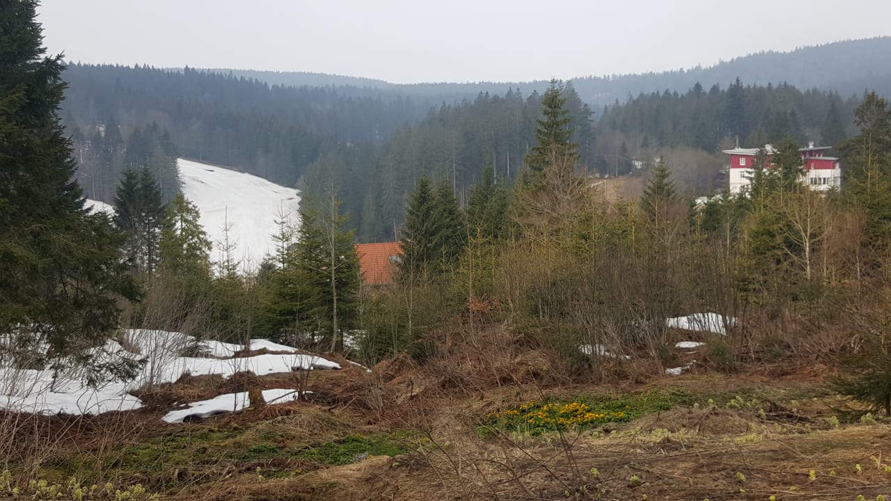 Außenansicht Waldhotel am Notschreipass