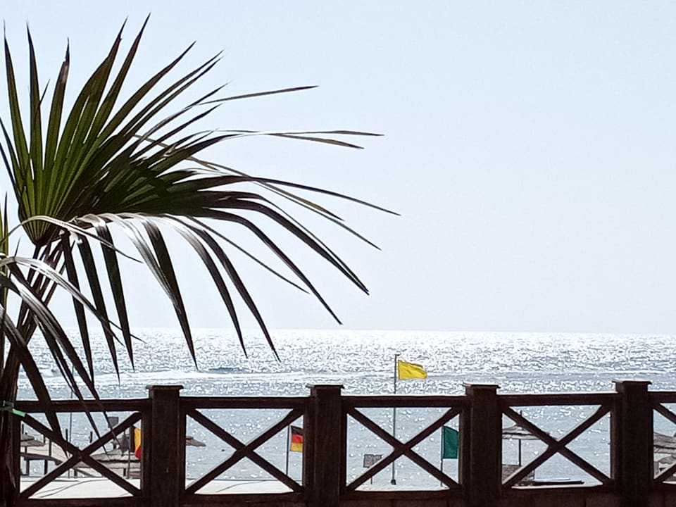 Ausblick Novotel Marsa Alam Beach Resort