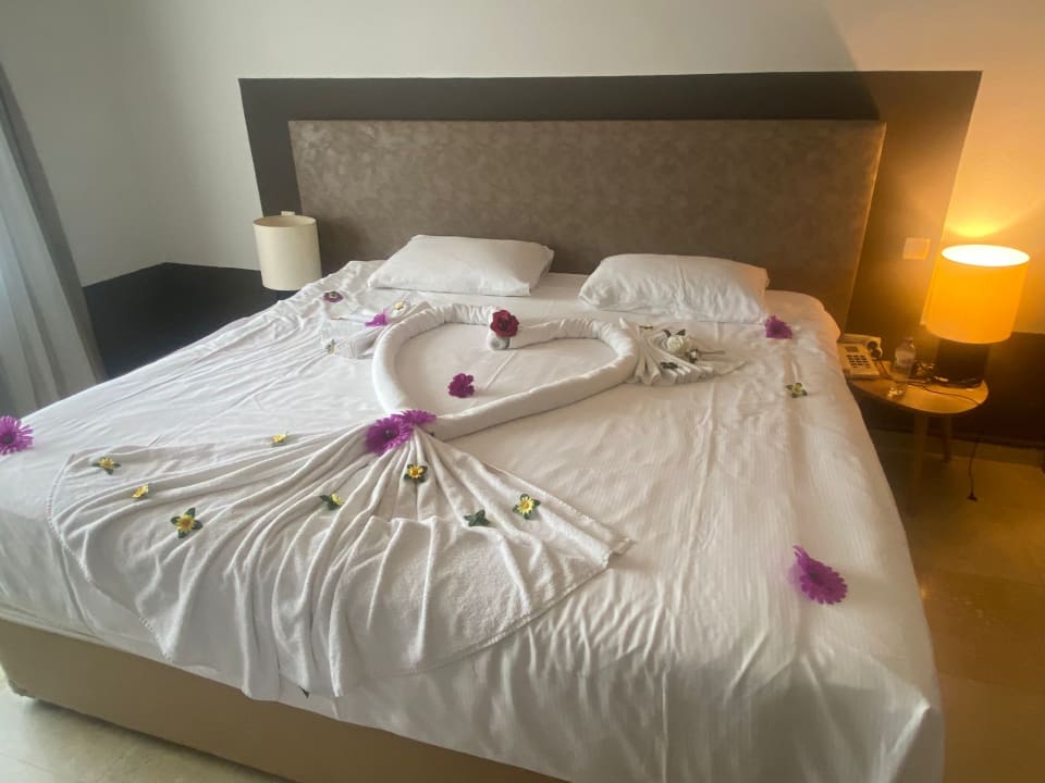 Zimmer PALOMA Perissia