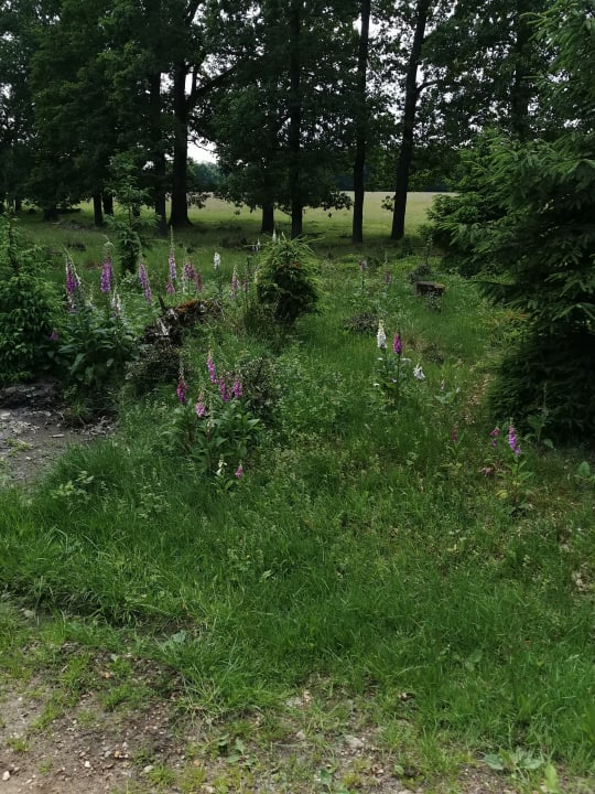 Gartenanlage Eurostrand Resort Lüneburger Heide