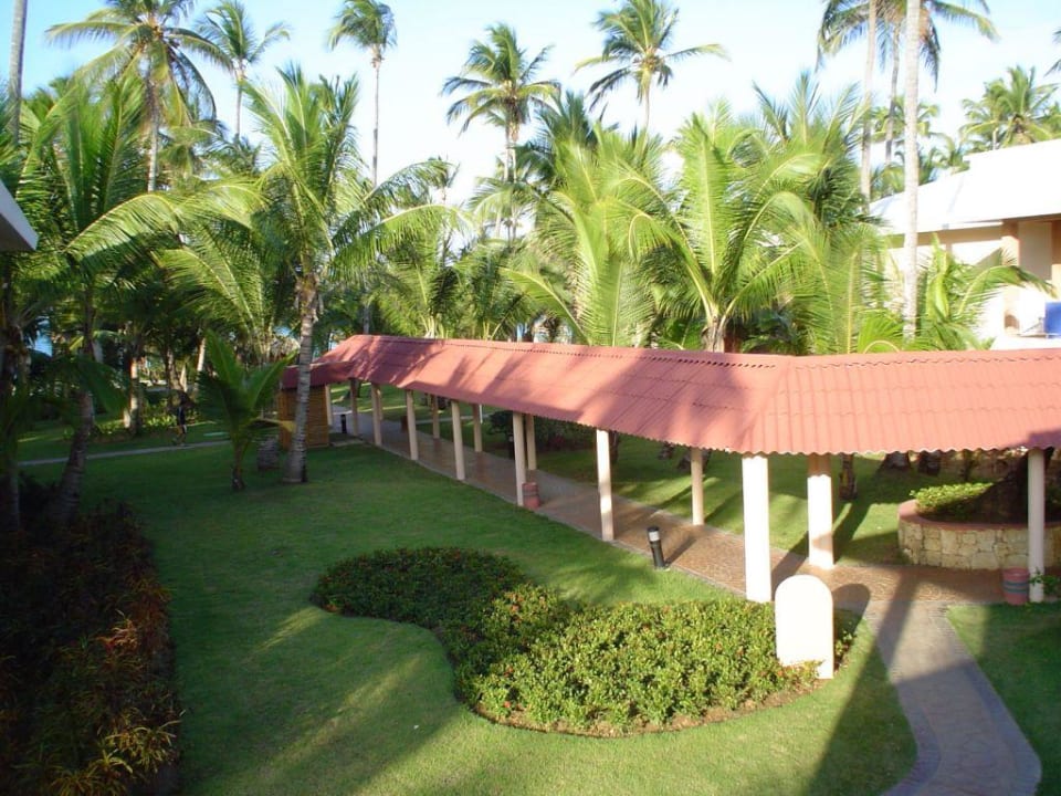 Gartenanlage Hotel Grand Palladium Palace Resort, Spa & Casino