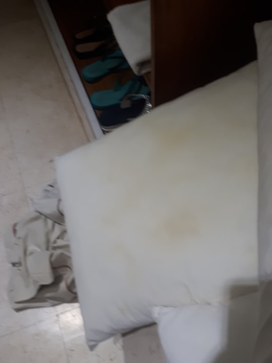 Zimmer Makadi Spa - Adults only