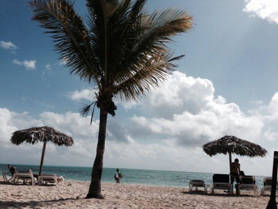 Strand Viva Fortuna Beach by Wyndham - All Inclusive Resort