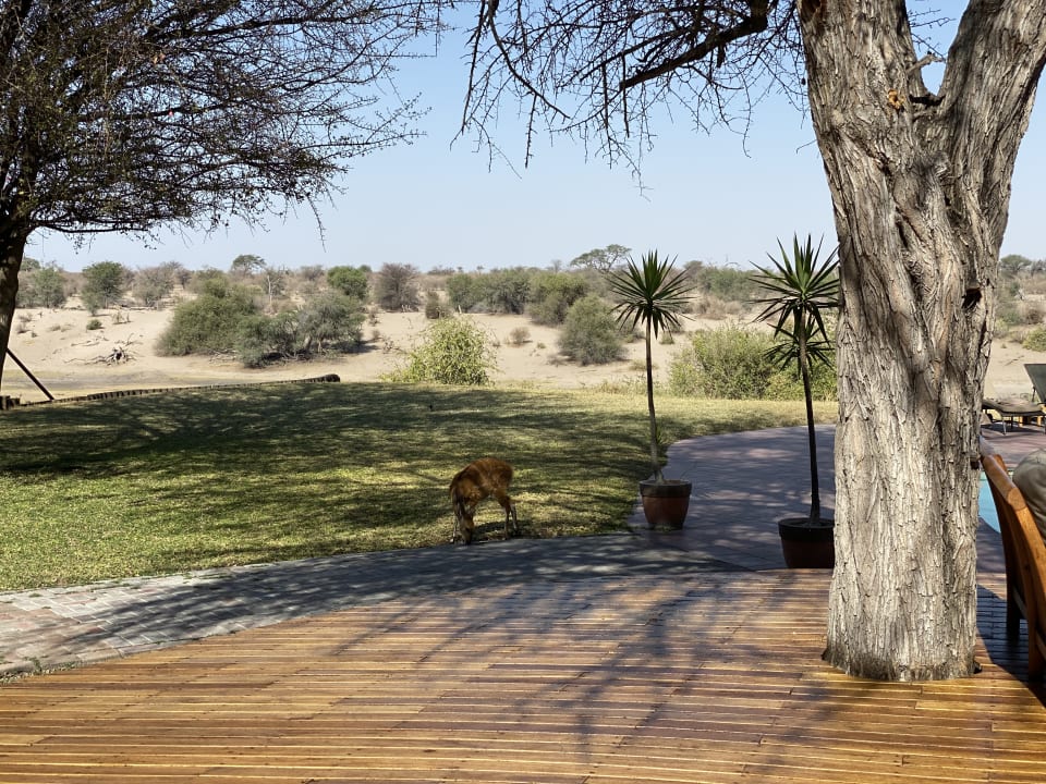 Gartenanlage Leroo La Tau Lodge