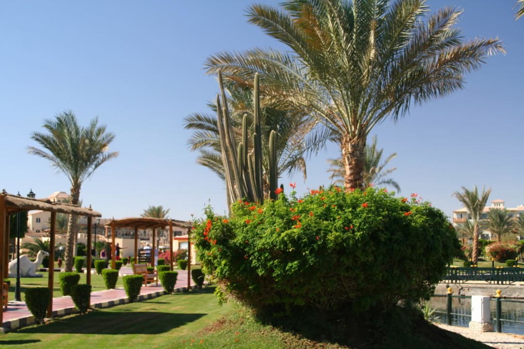Gartenanlage Dana Beach  Pickalbatros Dana Beach Resort - Hurghada