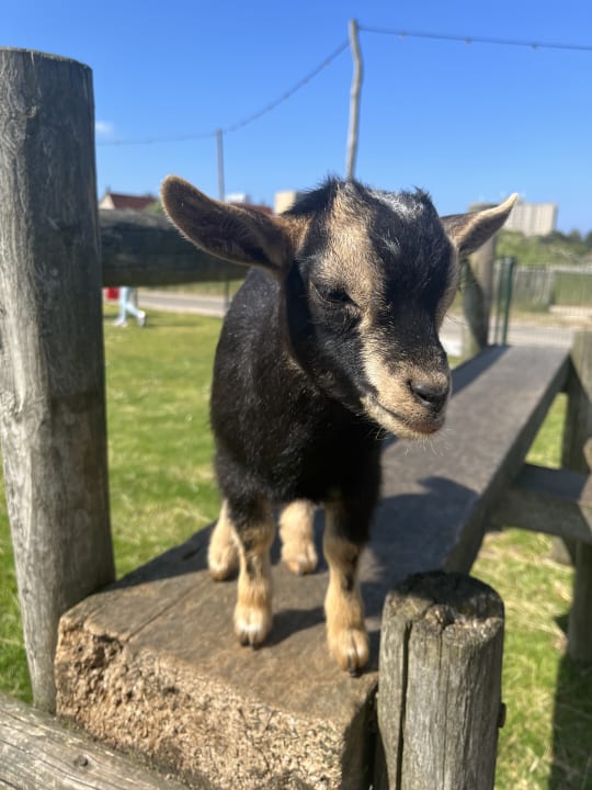 Sonstiges Center Parcs Park Zandvoort - Ferienhäuser