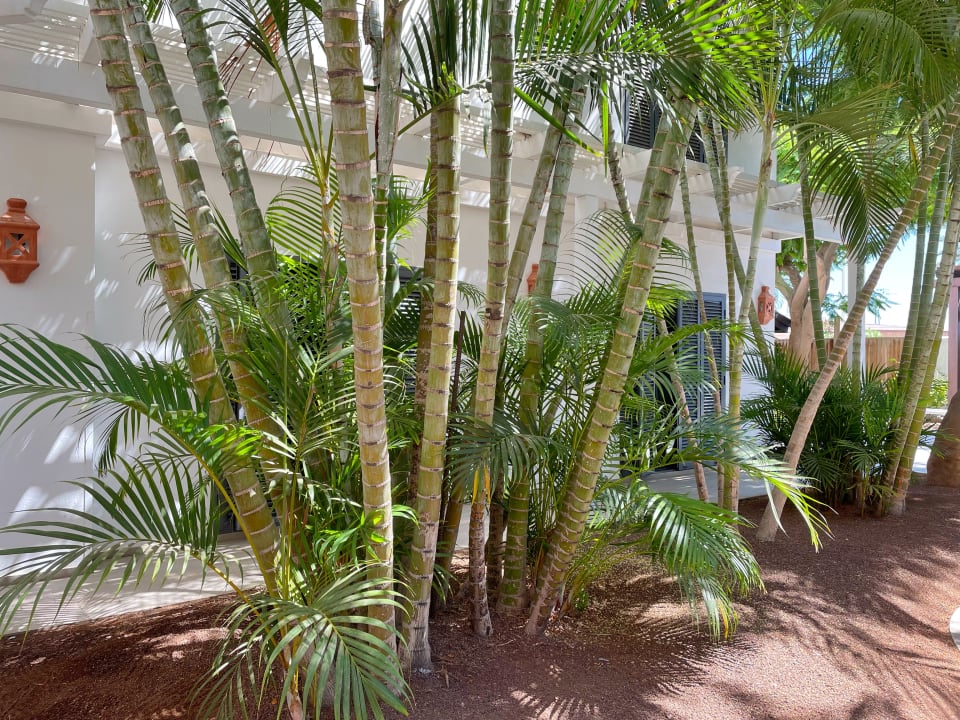 Sport & Freizeit ROBINSON JANDIA PLAYA