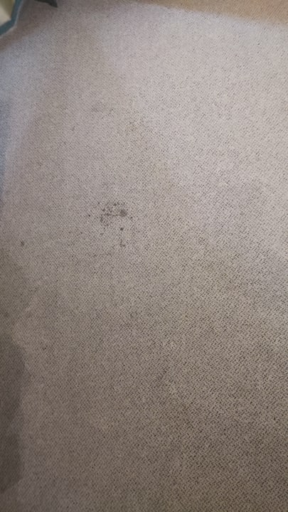 Zimmer Hotel Domicil Hamburg by Golden Tulip