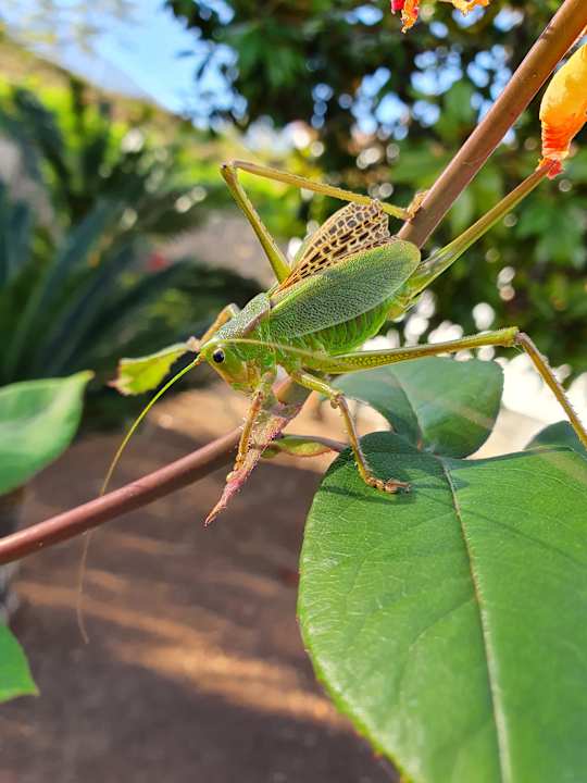 Außenansicht Finca Hotel Rural Casablanca
