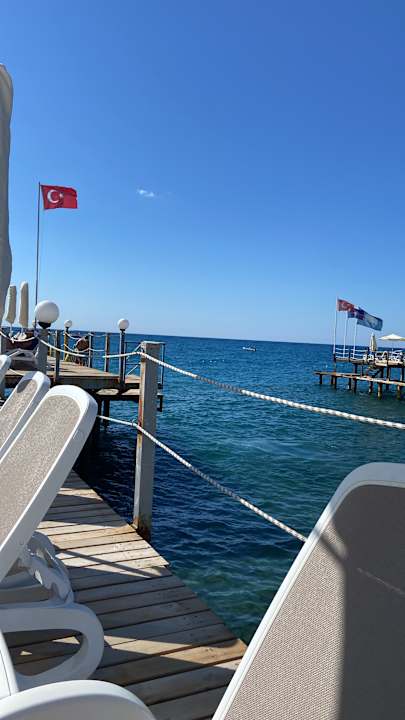 Strand Dizalya Palm Garden