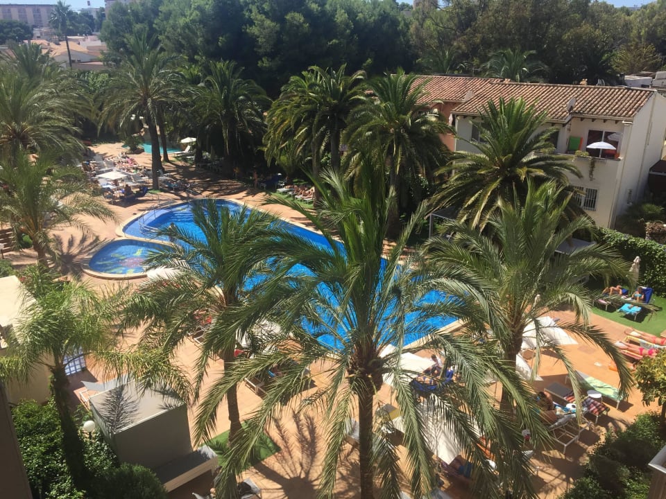 Wunderschöner Ausblick Zimmer 321 Hotel Cosmopolitan