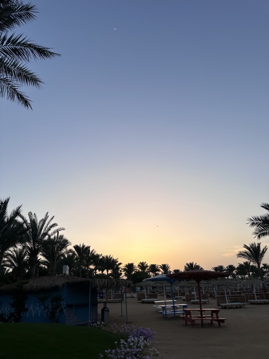 Ausblick Desert Rose