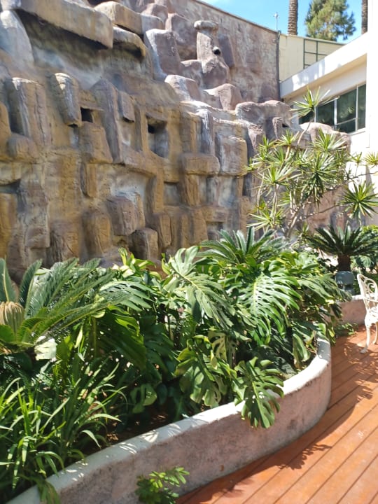 Gartenanlage Saphir Resort & Spa