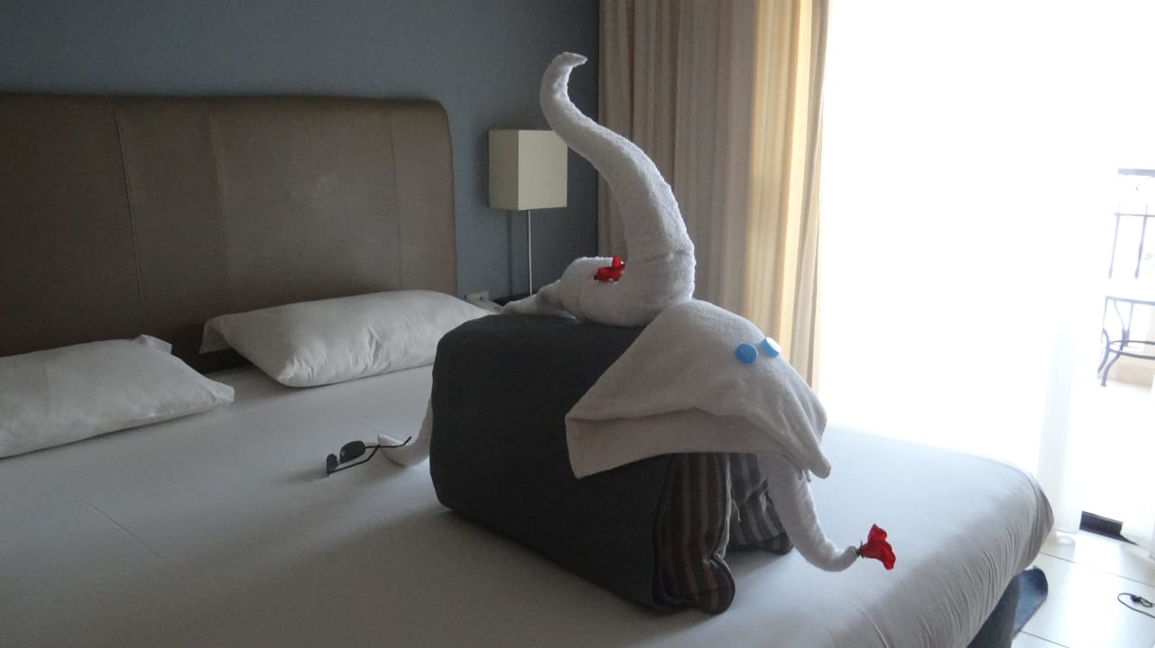 Słoń JAZ Aquamarine Resort