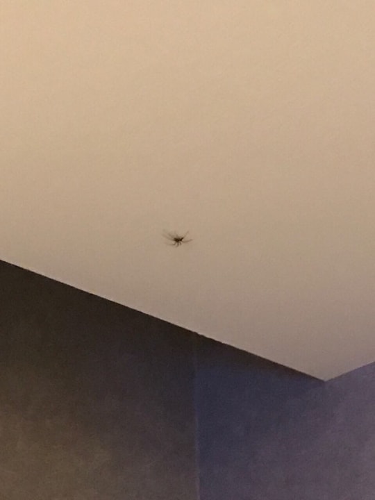 Zimmer Vogue Hotel Supreme Bodrum