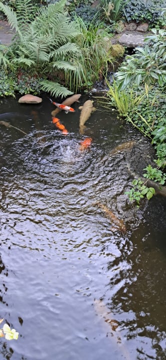Gartenanlage Wellness- und Gartenhotel Heusser