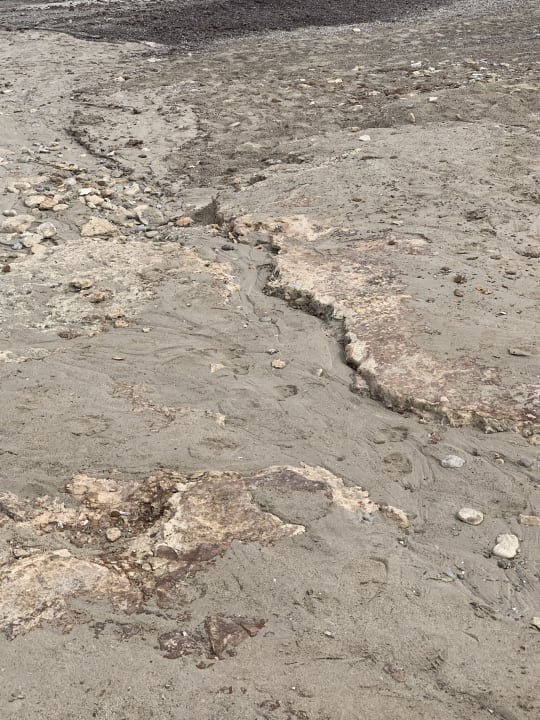 Strand Hipotels Hipocampo Playa